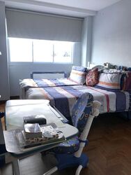 Goldleaf Gardens (D15), Terrace #487242891